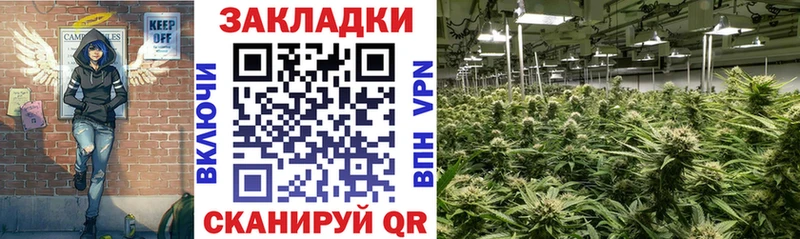 Виды наркотиков купить Кондопога КОКАИН  A PVP  Бошки Шишки  Мефедрон 