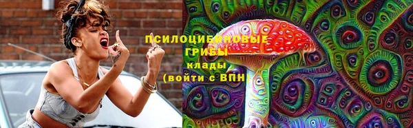 дживик Бугульма