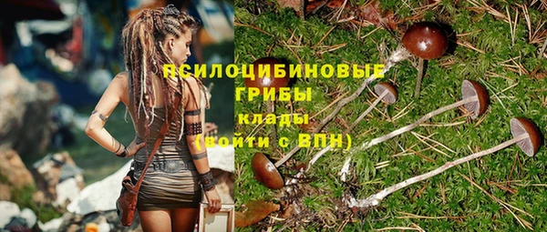 дживик Бугульма