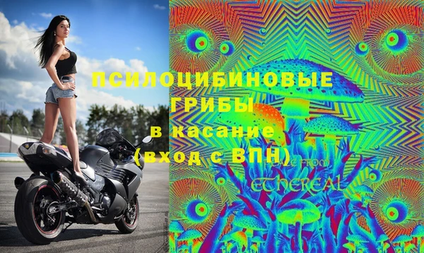 каннабис Бородино
