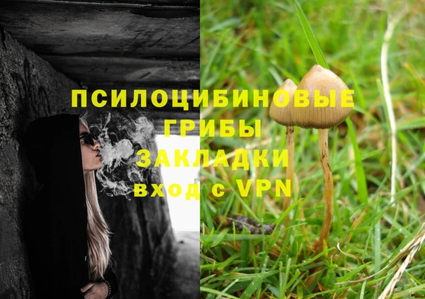 каннабис Бородино