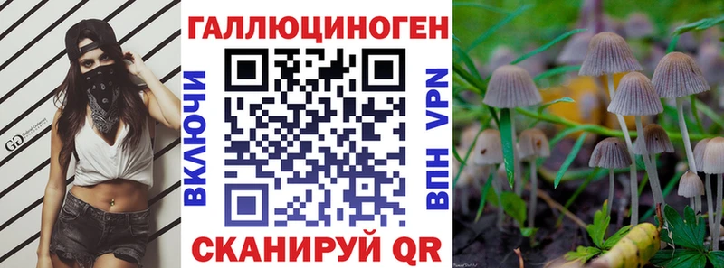 цена   Кондопога  Галлюциногенные грибы мицелий 